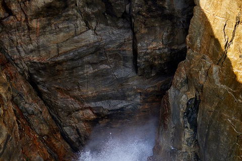 The Gap And Natural Wonders - Accommodation Port Macquarie 8