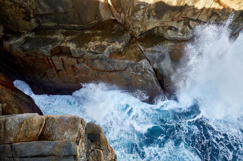 The Gap And Natural Wonders - Accommodation Port Macquarie 6