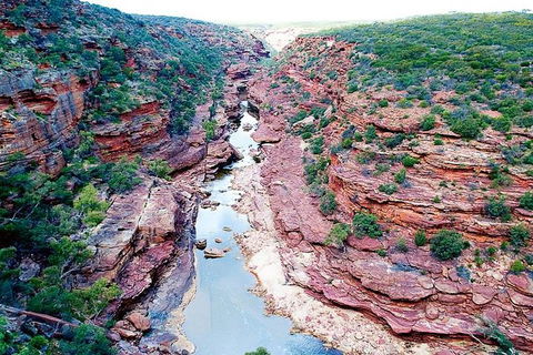Kalbarri Gorges & West Coast - Ground & Air Tour - Accommodation Port Macquarie 5
