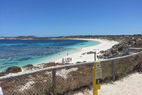 Fly To Rottnest Island By Plane - Accommodation Port Macquarie 4