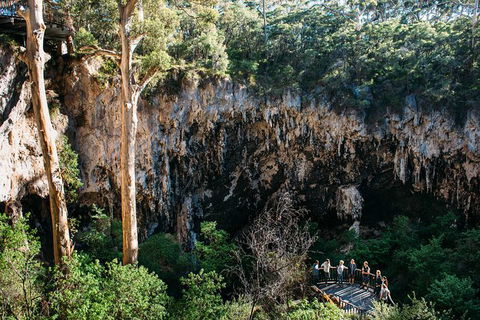 Lake Cave Fully Guided Tour - Accommodation Port Macquarie 1