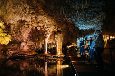 Lake Cave Fully Guided Tour - Accommodation Port Macquarie 0