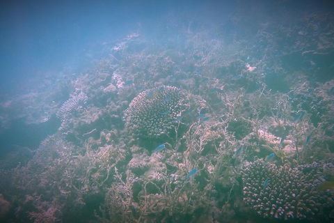 Guided Jet Ski And Snorkel Tour From Exmouth - Accommodation Port Macquarie 1