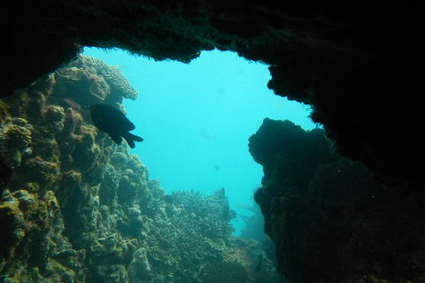 Half-Day Abrolhos Islands Shipwreck Air And Land Tour From Geraldton - Accommodation Port Macquarie 0