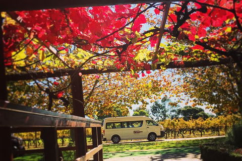Ultimate Swan Valley Food And Wine Day Trip From Perth - Accommodation Port Macquarie 12