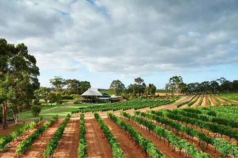 Vasse Felix Winery Tour And Tasting - Accommodation Port Macquarie 2