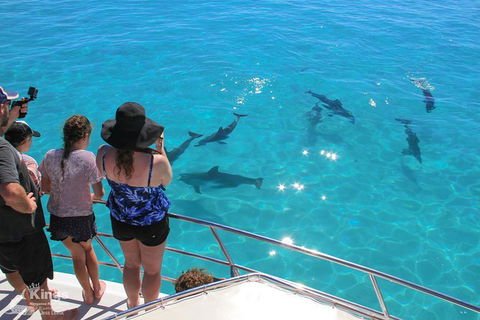 Ningaloo Reef Whale Shark Snorkeling Adventure Apr-July - Accommodation Port Macquarie 4