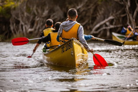 Margaret River Canoe Tour Including Lunch - Accommodation Port Macquarie 15