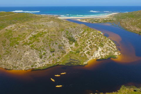 Margaret River Canoe Tour Including Lunch - Accommodation Port Macquarie 4