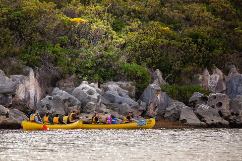 Margaret River Canoe Tour Including Lunch - Accommodation Port Macquarie 9