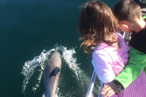 Rottnest Island Sailing Day Trip From Fremantle - Accommodation Port Macquarie 1