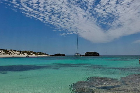 Rottnest Island Sailing Day Trip From Fremantle - Accommodation Port Macquarie 6