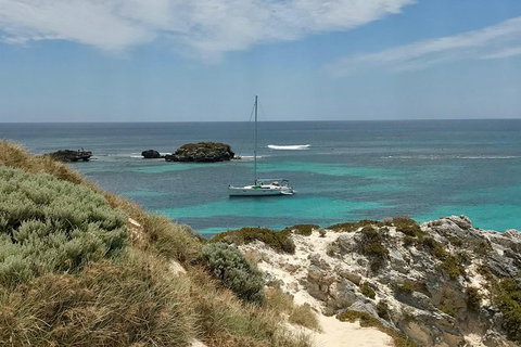 Rottnest Island Sailing Day Trip From Fremantle - Accommodation Port Macquarie 4