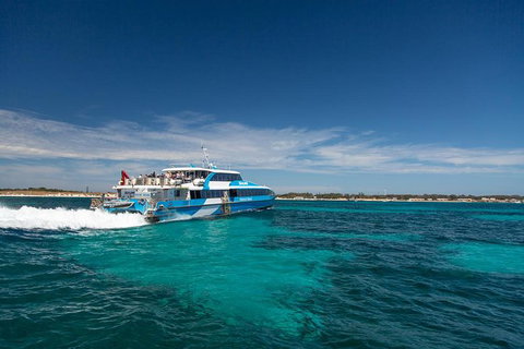 Rottnest Island Skydive Including Round Trip Ferry From Fremantle - Accommodation Port Macquarie 7