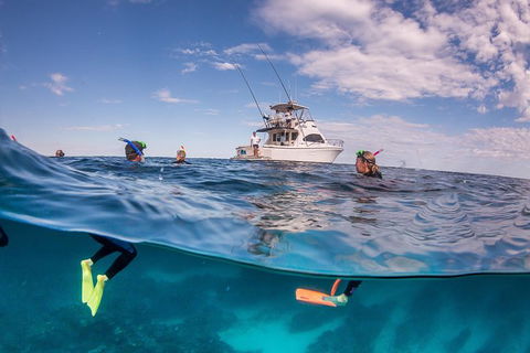 Exclusive Ningaloo Adventure Charter From Exmouth - Accommodation Port Macquarie 0