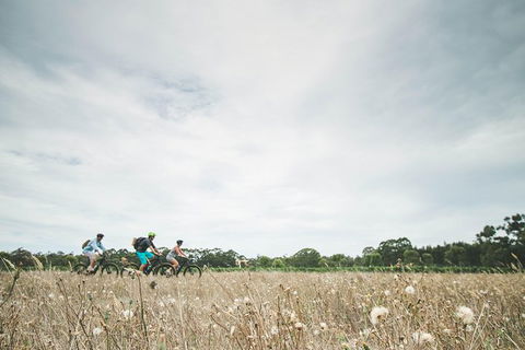 Electric Bike Winery And Brewery Tour - Accommodation Port Macquarie 0