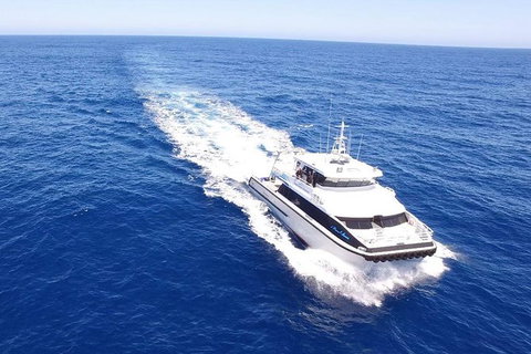 Augusta Whale Watching Eco Tour - Accommodation Port Macquarie 8