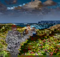 Guided Walks on the Cape to Cape - Wilyabrup Cliffs - Accommodation Port Macquarie