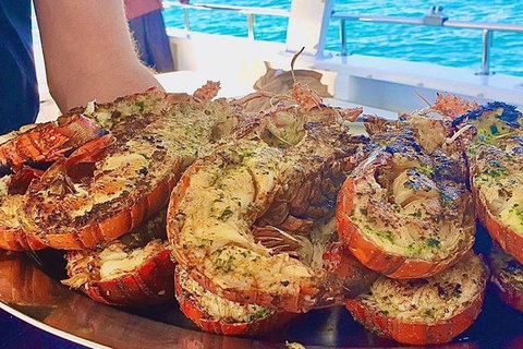 Rottnest Island Day Tour With Wild Seafood Banquet Cruise - Accommodation Port Macquarie 8