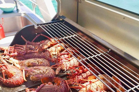 Rottnest Island Day Tour With Wild Seafood Banquet Cruise - Accommodation Port Macquarie 16