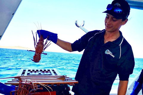 Rottnest Island Day Tour With Wild Seafood Banquet Cruise - Accommodation Port Macquarie 7