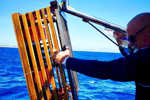 Rottnest Island Day Tour With Wild Seafood Banquet Cruise - Accommodation Port Macquarie 9