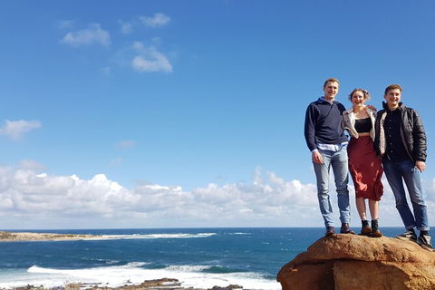 7 Hour Full Day Tour: Morning Tea, Chocolate, Olives, 3 Wineries & Lunch - Accommodation Port Macquarie 5