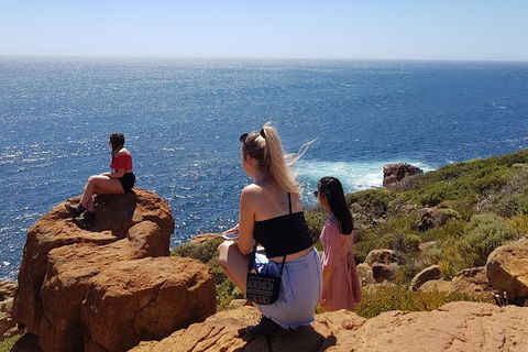 7 Hour Full Day Tour: Morning Tea, Chocolate, Olives, 3 Wineries & Lunch - Accommodation Port Macquarie 11