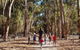 7 Hour Full Day Tour: Morning Tea, Chocolate, Olives, 3 Wineries & Lunch - thumb 21