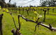 7 Hour Full Day Tour: Morning Tea, Chocolate, Olives, 3 Wineries & Lunch - thumb 15