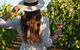 7 Hour Full Day Tour: Morning Tea, Chocolate, Olives, 3 Wineries & Lunch - thumb 2