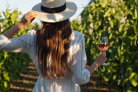 7 Hour Full Day Tour: Morning Tea, Chocolate, Olives, 3 Wineries & Lunch - Accommodation Port Macquarie 2