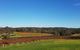 7 Hour Full Day Tour: Morning Tea, Chocolate, Olives, 3 Wineries & Lunch - thumb 7