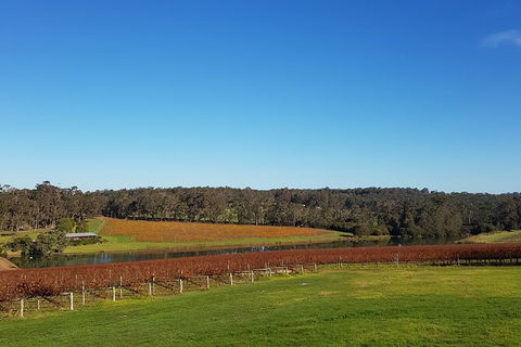 7 Hour Full Day Tour: Morning Tea, Chocolate, Olives, 3 Wineries & Lunch - Accommodation Port Macquarie 7