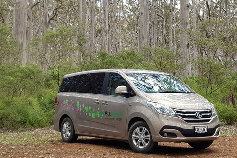 7 Hour Full Day Tour: Morning Tea, Chocolate, Olives, 3 Wineries & Lunch - Accommodation Port Macquarie 6