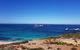 7 Hour Full Day Tour: Morning Tea, Chocolate, Olives, 3 Wineries & Lunch - thumb 10