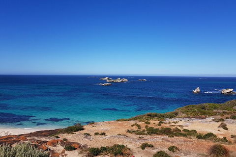 7 Hour Full Day Tour: Morning Tea, Chocolate, Olives, 3 Wineries & Lunch - Accommodation Port Macquarie 10