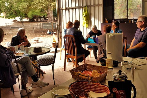7 Hour Full Day Tour: Morning Tea, Chocolate, Olives, 3 Wineries & Lunch - Accommodation Port Macquarie 13
