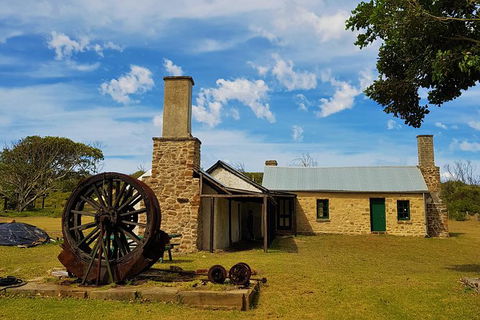 7 Hour Full Day Tour: Morning Tea, Chocolate, Olives, 3 Wineries & Lunch - Accommodation Port Macquarie 4