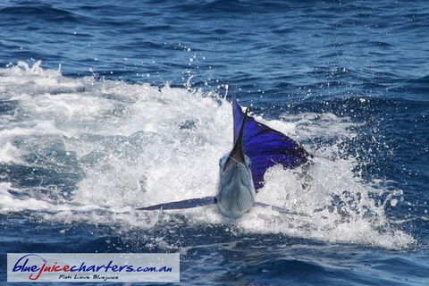 Montebello Island Fishing Charters - Accommodation Port Macquarie 6