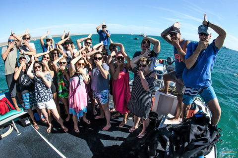 Humpback Whale Swim Ningaloo Reef - Accommodation Port Macquarie 6