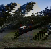 Dusk to Dawn Astronomy Margaret River - Accommodation Port Macquarie