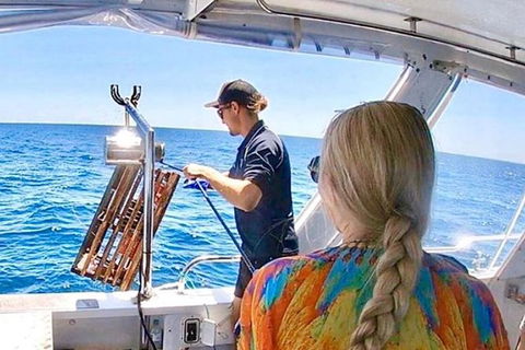 Rottnest Island 5-Course Deluxe Seafood Banquet Cruise - Accommodation Port Macquarie 20