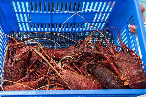 Rottnest Island 5-Course Deluxe Seafood Banquet Cruise - Accommodation Port Macquarie 3