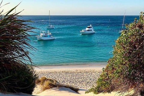Rottnest Island 5-Course Deluxe Seafood Banquet Cruise - Accommodation Port Macquarie 16