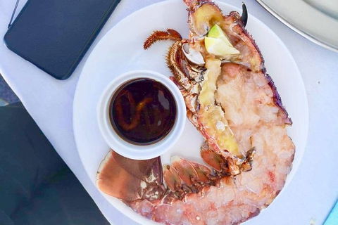 Rottnest Island 5-Course Deluxe Seafood Banquet Cruise - Accommodation Port Macquarie 4