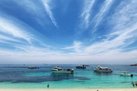 Rottnest Island 5-Course Deluxe Seafood Banquet Cruise - Accommodation Port Macquarie 7