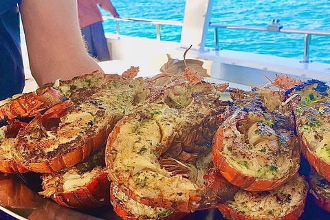 Rottnest Island 5-Course Deluxe Seafood Banquet Cruise - Accommodation Port Macquarie 19