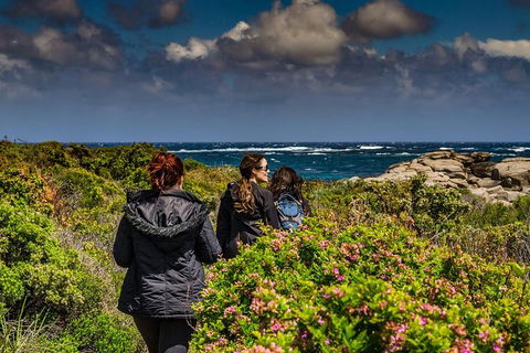 Guided Walks On The Cape To Cape - Redgate Beach To Boranup Forest - Accommodation Port Macquarie 1