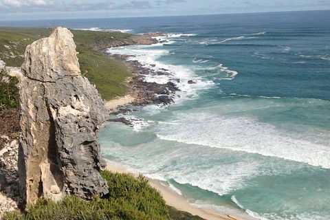 Guided Walks On The Cape To Cape - Redgate Beach To Boranup Forest - Accommodation Port Macquarie 4